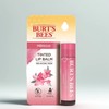 Burt's Bees Tinted Lip Balm Hibiscus, 4.25g, 1 piece /