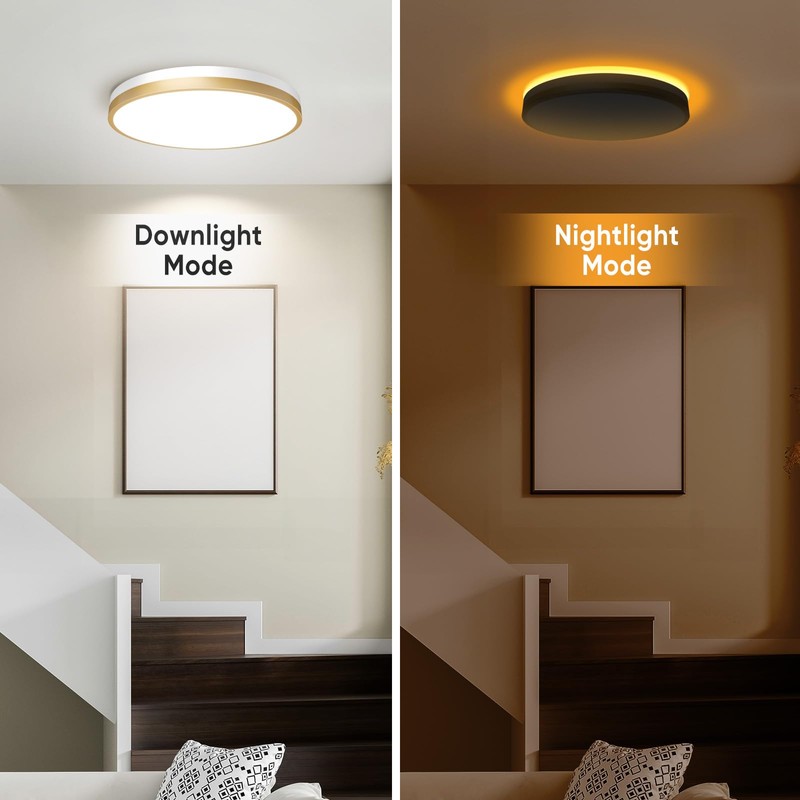 Lightania 15 Inch Flush Mount Ceiling Light with Remote Control