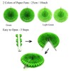 Recosis Birthday Decorations, Green Party Decorations for Birthday Banner Curtains