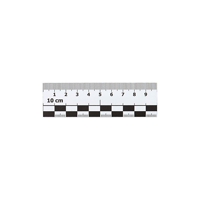 Smileyboard Photo Scale Magnet - 10cm Car Magnet for Damage