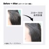 BOTANICOAT Color Treatment ex [at home] Deep Brown Gray Hair