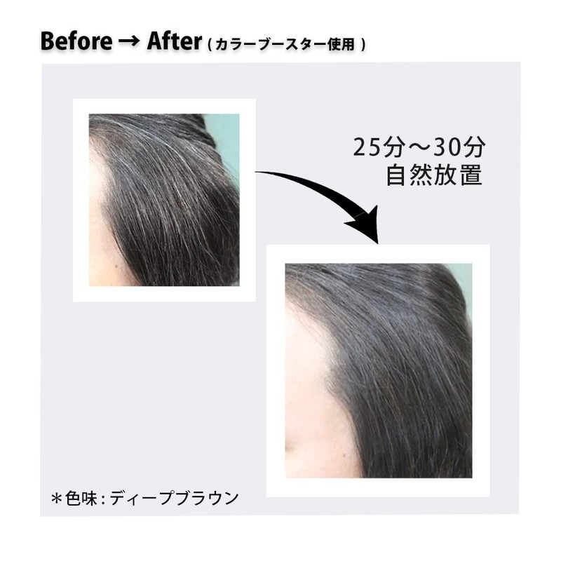 BOTANICOAT Color Treatment ex [at home] Deep Brown Gray Hair