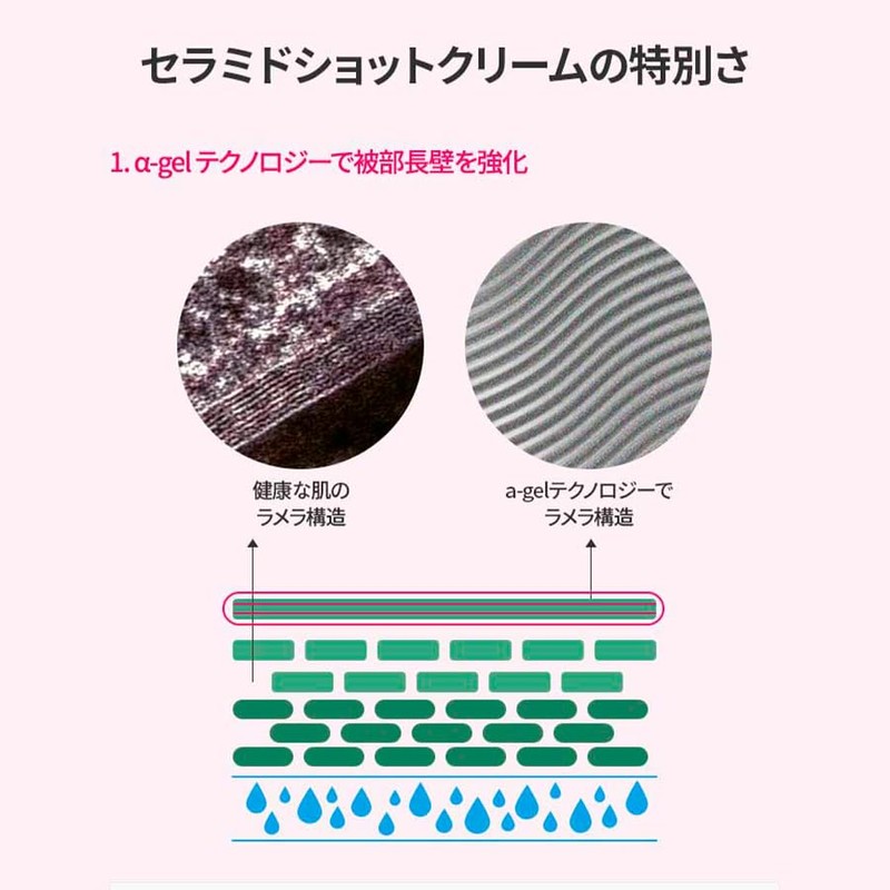 AMPLE:N (アンプルエヌ) 【公式正規品】セラミド ショット クリーム 50ml 肌バリアクリーム 高保湿クリーム COREANA COSMETIC