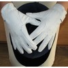 Hands On Equestrian Ladies Dressage Gloves Horse Riding White or