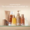 Saltair - Aceite corporal Santal Bloom - Hidratante corporal nutritivo