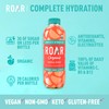 ROAR Complete Hydration Organic - Electrolyte Drinks Loaded with Vitamins