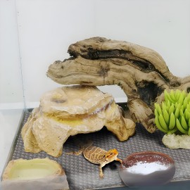 Mystercome Bearded Dragon Tank Accessories, Reptile Terrarium Carpet Substrate for Leopard Gecko, Lizard, Iguana, Snake, Tortoise, Non-Adhesive Reptile Habitat Mat(18"x79")