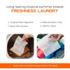 ZOPPER Tumble Dryer Sheets Scented - Tropical Summer Breeze,40 Sheets