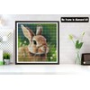 Bimkole DIY 5D Diamond Painting Kits Accessories Cute Rabbit, Animal