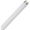 Diodesy- T8 Fluorescent Tube Light Bulb 18 Inch 15 Watts