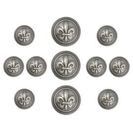 Bezelry Fleur De Lys Domed Metal Shank Buttons. Blazer Button Set. 3 Pcs of 25mm, 8 Pcs of 18mm (Gray Silver)