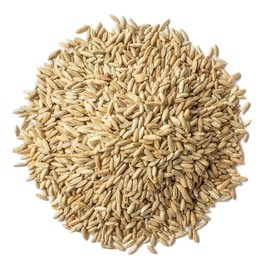 Food to Live Rye Berries, 5 Pounds – Whole Grain Powerhouse for Bread, Sourdough, Porridge, and Granola. Rich in Fiber and Nutrients. Raw, Unprocessed, Vegan, Kosher, Seeds in Bulk
