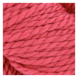 Cascade Yarns -128 Superwash - Holly Berry 300