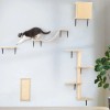 5 Pcs Wall Mounted Cat Climber Set, Floating Cat Shelves