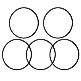 350013 O-318 Lid O-Ring Compatible with Pentair 350013 for IntelliFlo, WhisperFlo, Challenger, Pinnacle Pool/Spa Pumps （5-Pack）
