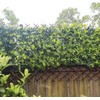 Helprise Expandable Willow Lattice Fence Panel Plant Support Garden Trellis