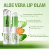 Jolilab 4 Pcs Aloe Vera Lip Balm Lipstick, Lip Stick