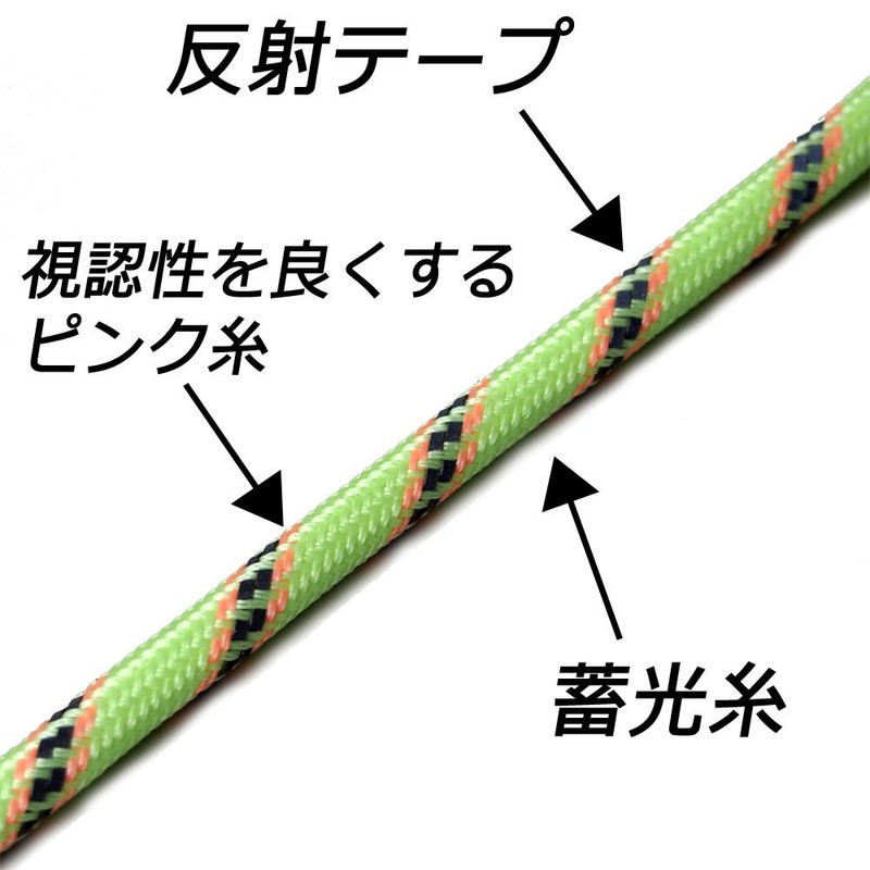 which has come (Ellisse) Luminous + Reflective gairo-pu (Tent Rope)