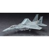 BH52366 1 vs 48 SP566 Ace Combat 7 - F-15C