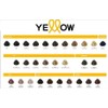 Tinte Yellow De Alfa Parf 100gr Peroxido 20vol De 150ml