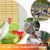 ZenxyHoC Chicken Waterer Cups, 6 Pack Automatic DIY Chicken Water
