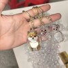 Pet Hair Storage Bottles, Pet Commemorative Keychains, Transparent Cat and