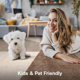 Runner Rug Non Slip Hallway: 3x16 Washable Kitchen Runner Rugs for High Traffic Areas Modern Durable Long Hall Carpet with TPE Backing Easy Clean Bedroom Floor Mat Soft Indoor Entryway Rug Brown