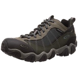 Oboz Firebrand II Low B-Dry Hiking Shoe - Men's Gray, 10