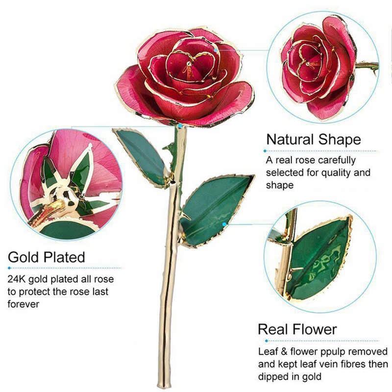 Long Stem Dipped 24k Gold Rose in Gift Box with