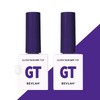 vibla 1+1 Vibla Gwangtop Non-wipe Top Gel Basic Gel 10ml