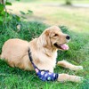 Harikaji Dog Elbow Protector, Elbow Sleeves with Mesh Pad for