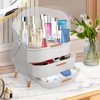 MASSY Egg Shape(Oval) Makeup Storage Box, Countertop Portable Vanity Cosmetics