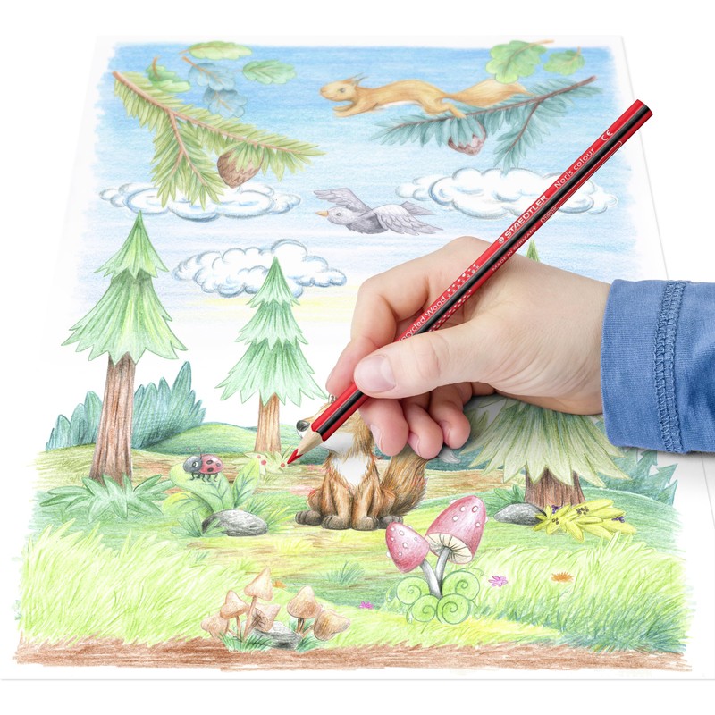 STAEDTLER Noris colour 187 colouring pencils, ergonomic triangular format, non-slip