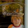 Window Bird Feeders with Strong Suction Cups - Jacobi Jayne®