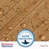 Thompson's WaterSeal TH.048851-16 Penetrating Semi-Transparent Timber Oil, Mahogany, 1 Gallon