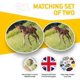 2 x 30cmVinyl Stickers - Cute Playful Foal Horse Pony Decals for Car Van Luggage Scrap Book Fridge #3282