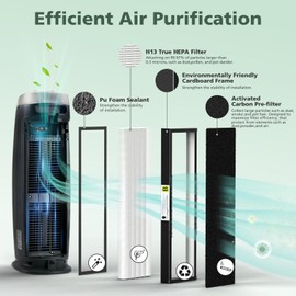 2 Pack FLT4825 True HEPA Fil-ter B Replacement with Activated Carbon Pre-Filters Compatible with Air Puri-fier AC4825 AC4300 AC4800 AC4900 AC4850, Black