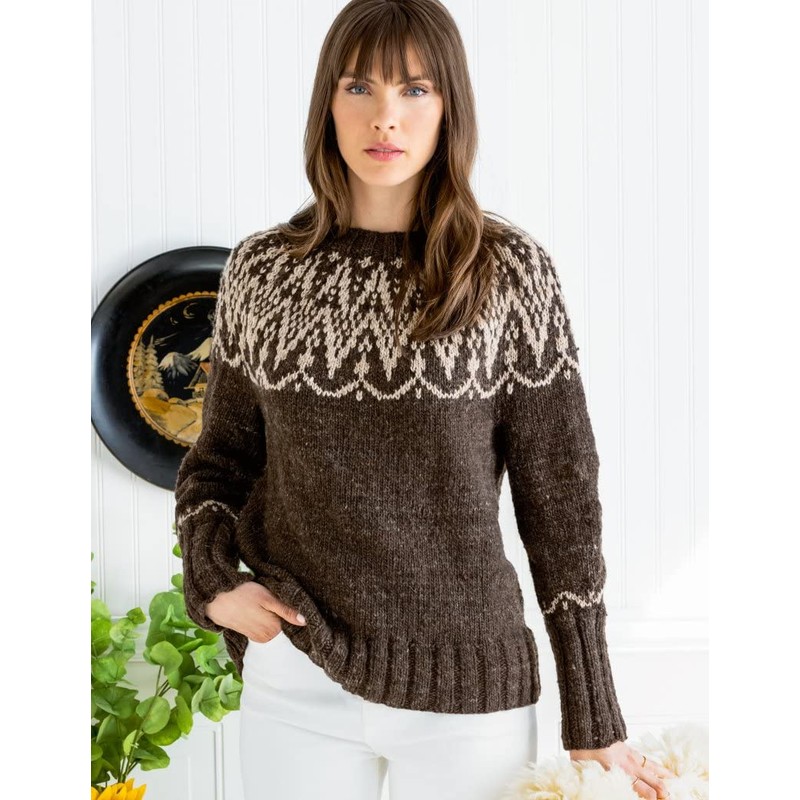 Noro Haunui Wool Yarn 05 Lindis Pass