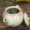Kutani Yaki(ware) Japanese Teapot Sakura Gold Leaf (with tea strainer)