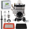 A021002040 WYK-66 43/46/48cc Carburetor Kit for Poulan Pro PR48BT BP402