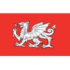 England White Dragon Flag 5ft x 3ft