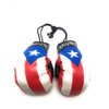 Red Hat Ent Hanging Car Mirror Mini Boxing Gloves (Puerto