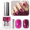 Wenida Cat Eye Gel Nail Polish, Includes Professional Nail Art