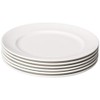 Fortessa Fortaluxe SuperWhite Vitrified China Dinnerware, Cassia 10 5/8-Inch Dinner