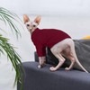 Hjyokuso Cat Clothes - Sphynx and Cornish Rex Jumper, Sweater,