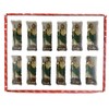 3" Set of 12 pcs Saint St Jude San Judas
