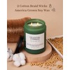 M&SENSE Clestial Cypress - Cedar & Spice Soy Jar Candles,
