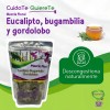 Té Quiere Te eucalipto bugambilia gordolobo en herbal Sin ser