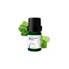 Ätherisches Oreganoöl 5 ml AMYRON | Origanum Vulgare | 100%