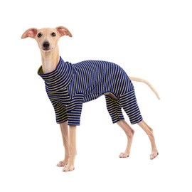 Dog Sweaters for Small Dogs Girls Boys, Striped Pet Sweaters for Fall Winter Dog Clothes, Turtleneck Pullover Knitwear for Small Medium Large Dogs
